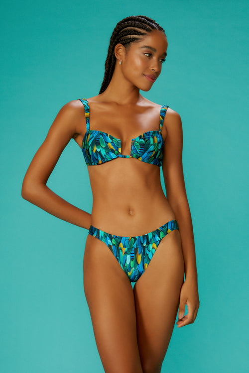 Quenia Fauna Top