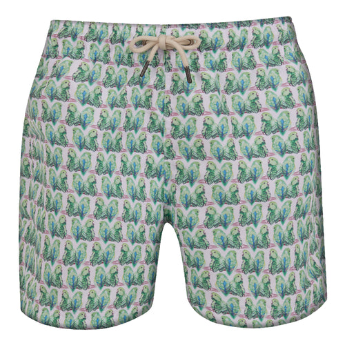Tuim Shorts