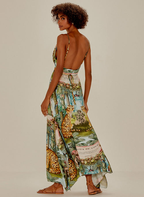 Long Dress Botanical Art
