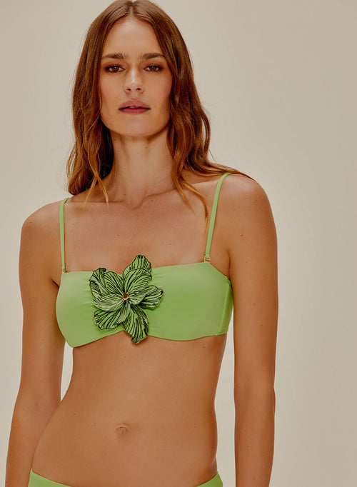 Straight Ruffled Bikini Iris Flower
