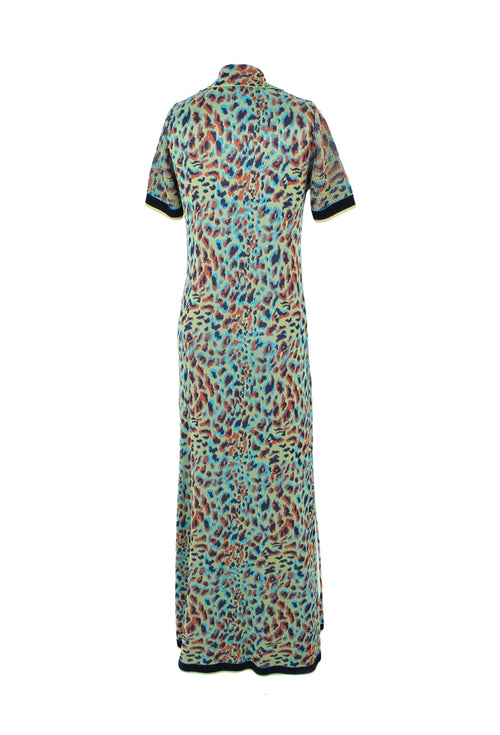 Animal Print Maxi Dress