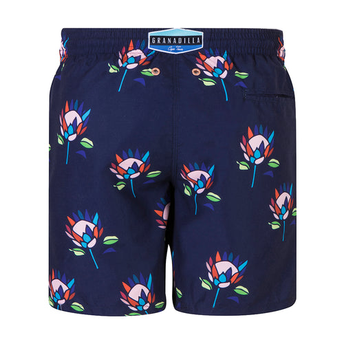 Proteas Shorts - Navy